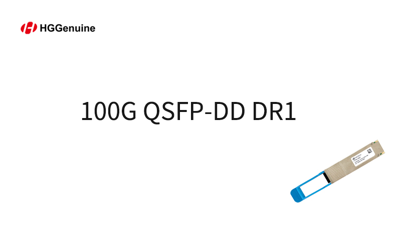 100G QSFP-DD DR1